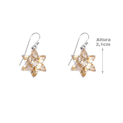 Brinco de Prata com Citrino - 64185