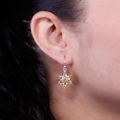 Brinco de Prata com Citrino - 64185