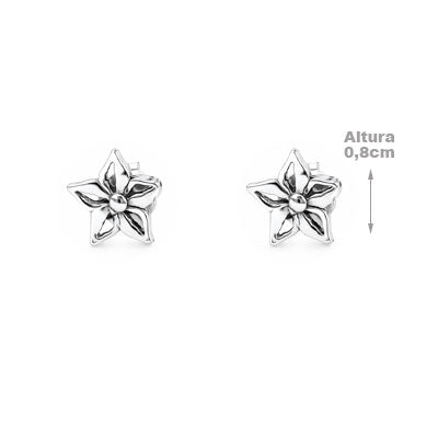 Brinco de Prata Flor - 65941