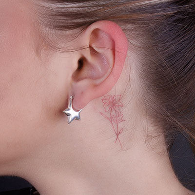 Argola de Prata Estrela - 66372