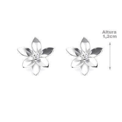 Brinco de Prata Flor - 66539