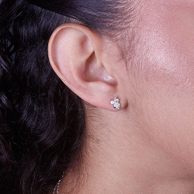 Brinco de Prata Coruja - 66600