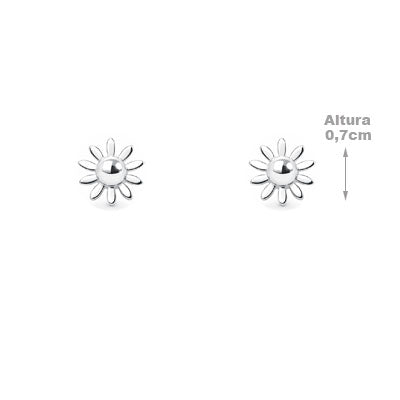 Brinco de Prata Flor- 66714 - soprata