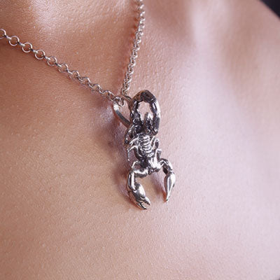 Pingente de Prata Escorpião - 67590