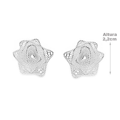 Brinco de Prata Flor - 68453