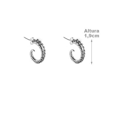 Argola de Prata Polvo - 55293