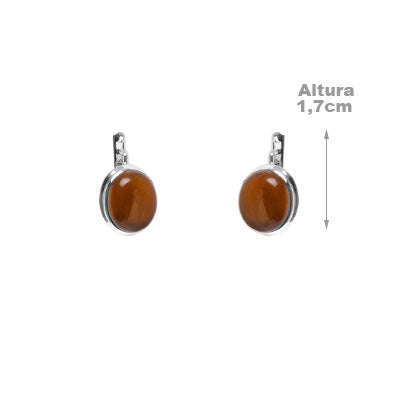 Argola de Prata com Olho de Tigre - 55615
