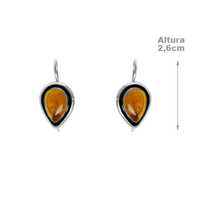 Brinco De Prata Com Âmbar