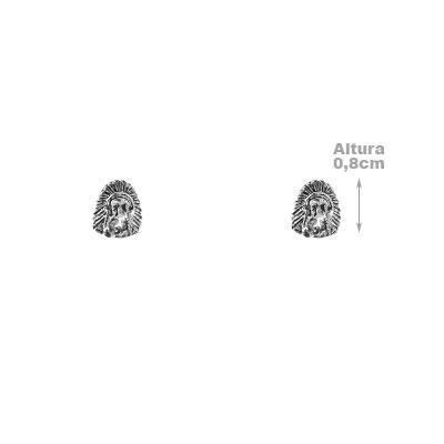 Brinco de Prata Índio