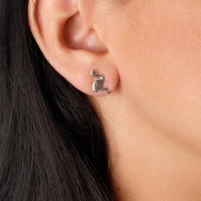 Brinco de Prata Flamingo