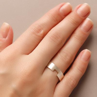 Confecção de Prata de Aliança Anatômica