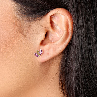 Brinco de Prata com Pedras