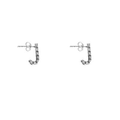 Brinco de Prata com Pedras