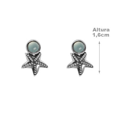 Brinco de Prata Estrela