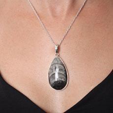 Pingente de Prata com Orthocers