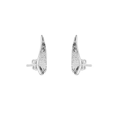 Brinco de Prata Asa - 25958