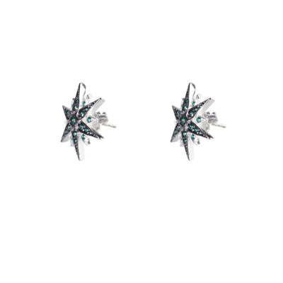 Brinco de Prata Estrela - 63837