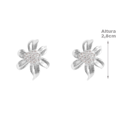 Brinco de Prata Flor  - 64581