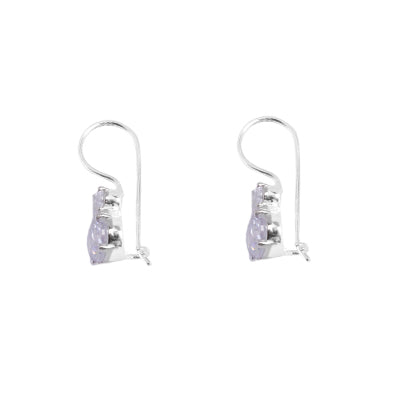 Brinco de Prata com Zircônia - 64985