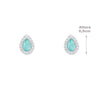 Brinco de Prata com Pedras - 66779
