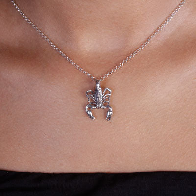 Pingente de Prata Escorpião - 67590