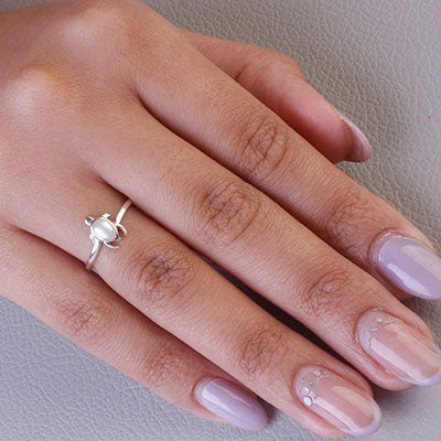 Anel de Prata Tartaruga - 67756