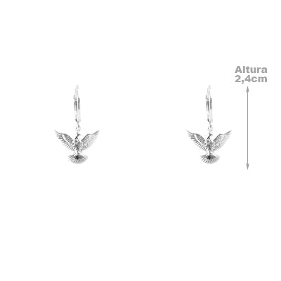Argola de Prata com Espirito Santo 