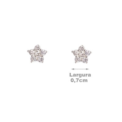 Brinco de Prata Flor com Zircônia - 55154